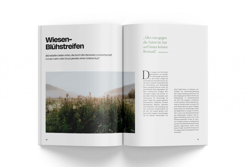 Print- & Webdesign